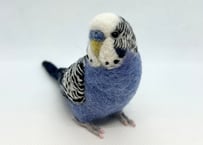 お客様専用約1/2サイズセキセイインコ