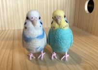 お客様専用約1/2サイズセキセイインコ