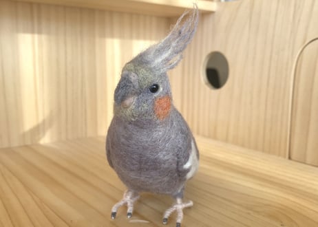 お客様専用約1/2サイズ＆ピーナッツオカメインコ