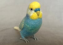 セキセイインコリアルサイズ＋ピーナッツ