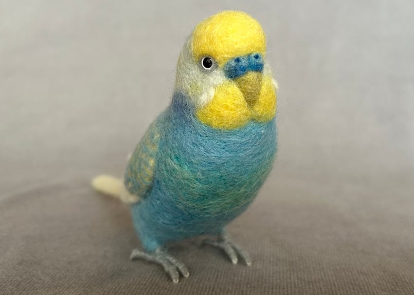 セキセイインコリアルサイズ＋ピーナッツ | TinyBooBoo