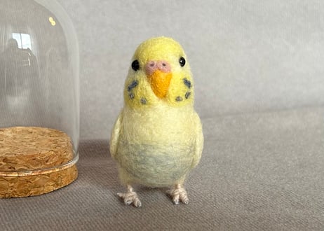 お客様専用ガラスドームタイプセキセイインコ