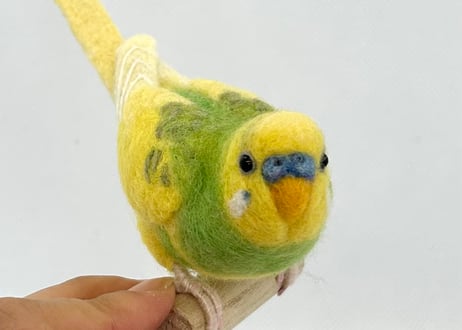 お客様専用パーチセキセイインコ