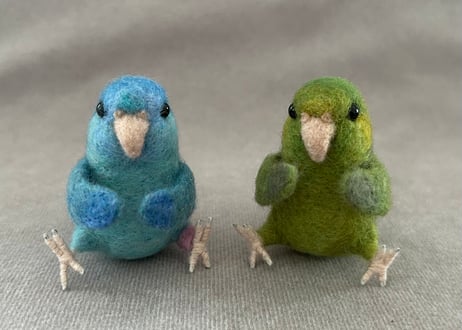 おすわりサザナミインコ