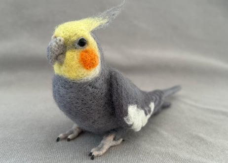 約1/2サイズセキセイ&オカメインコ