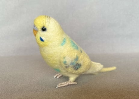 お客様専用約1/2サイズセキセイインコ