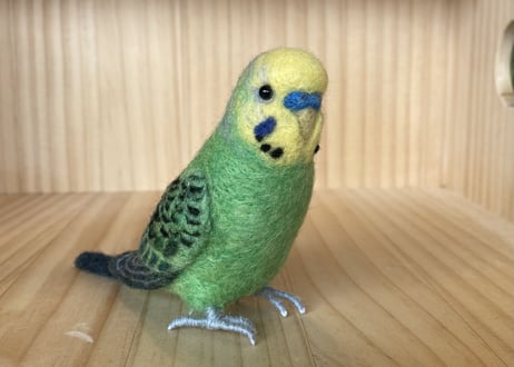 お客様専用約1／2サイズセキセイインコ