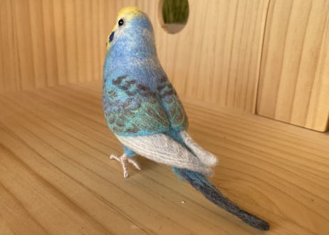 お客様専用約1/2サイズ&ピーナッツセキセイインコ