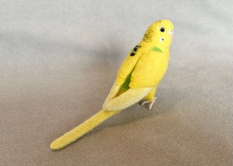リアルサイズセキセイ&約1/2サイズコザクラ