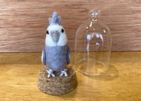 お客様専用ガラスドーム&ピーナッツオカメインコ