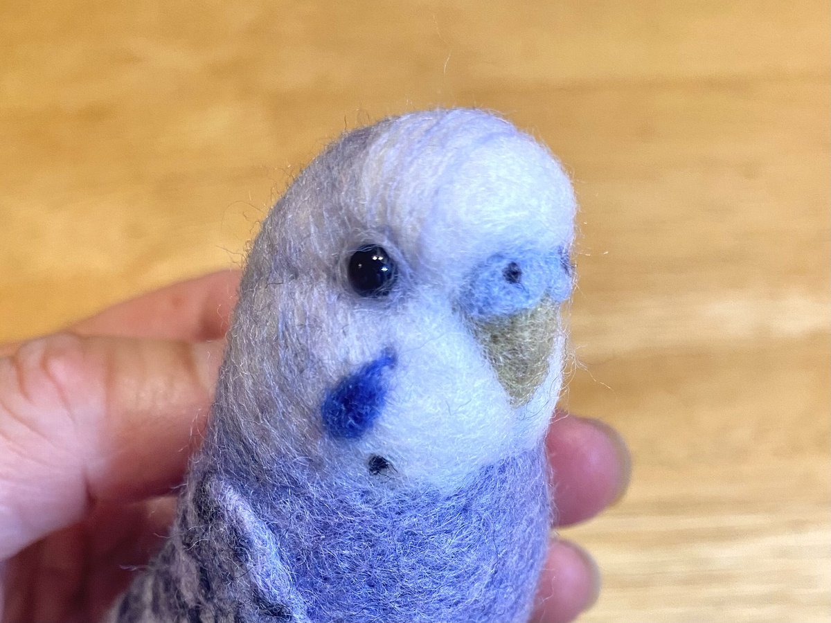 ボディバック　オカメインコ　セキセイインコ　ウロコ fit=scale-down,w=1200