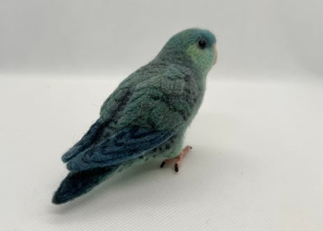 お客様専用約1/2サイズサザナミインコ