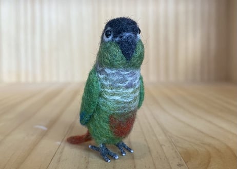 お客様専用ピーナッツウロコインコ