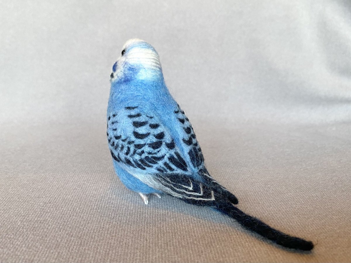 ◆インコ◆ お客様専用約1／2サイズセキセイインコ | TinyBooBoo