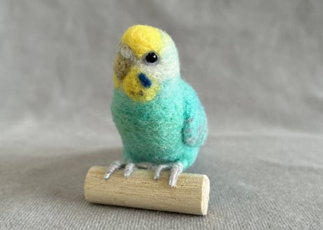 パーチ&おすわりセキセイインコ