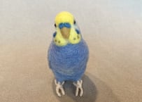 お客様専用約1／2サイズセキセイインコ