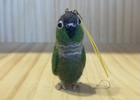 お客様専用ピーナッツウロコインコ