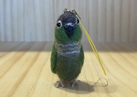 お客様専用ピーナッツウロコインコ