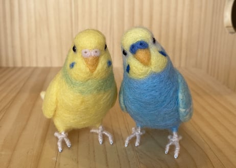 お客様専用約1/2サイズセキセイインコ2体