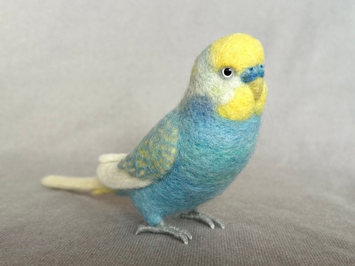 セキセイインコリアルサイズ＋ピーナッツ | TinyBooBoo