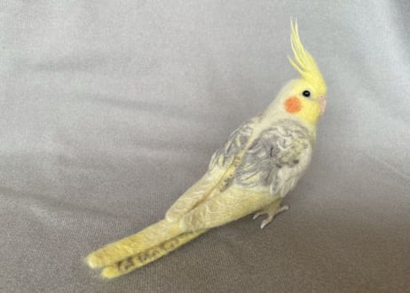 お客様専用約1/2サイズセキセイインコ&オカメインコ
