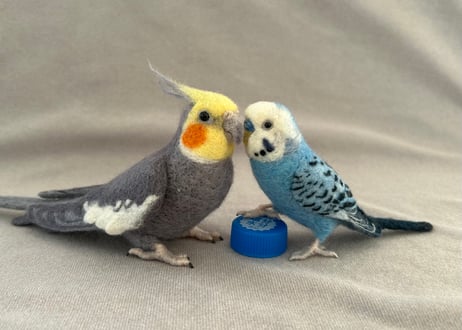 約1/2サイズセキセイ&オカメインコ