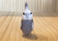 お客様専用ピーナッツオカメインコ