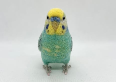 お客様専用約1/2サイズセキセイインコ