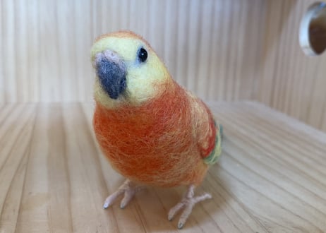 お客様専用約1/2サイズビセイインコ
