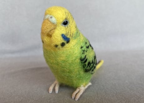 お客様専用約1/2サイズ＆ピーナッツセキセイインコ