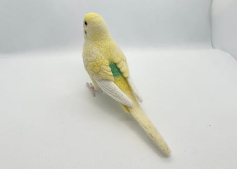 お客様専用セキセイインコリアルサイズ&おすわり