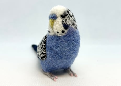 お客様専用約1/2サイズセキセイインコ