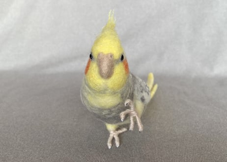 お客様専用約1/2サイズ＆ガラスドームオカメインコ