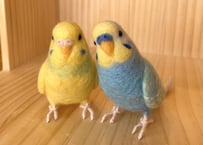 お客様専用約1/2サイズセキセイインコ2体