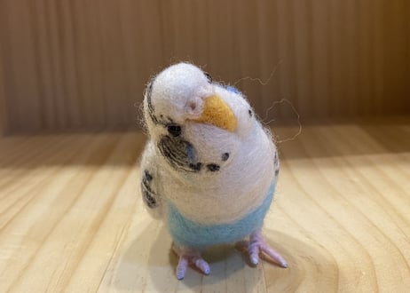 お客様専用約1/2サイズ&ピーナッツセキセイインコ