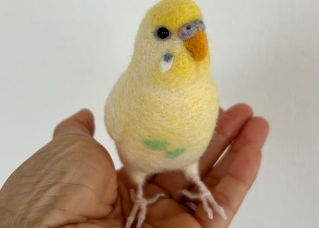 お客様専用セキセイインコリアルサイズ&おすわり