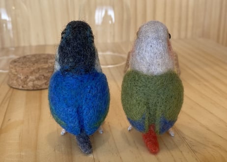 お客様専用ガラスドームタイプウロコインコ2体