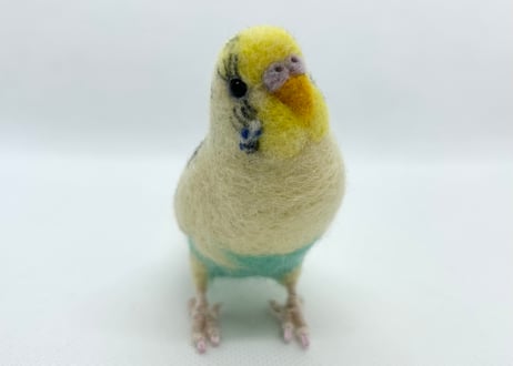 お客様専用約1/2サイズセキセイインコ×2