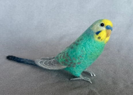 リアルサイズセキセイインコ