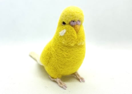 お客様専用約1/2サイズジャンボセキセイインコ