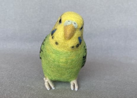 お客様専用約1/2サイズ＆ピーナッツセキセイインコ
