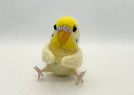 お客様専用セキセイインコリアルサイズ&おすわり