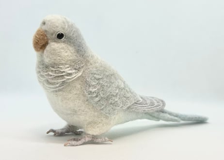 お客様専用 約1/2サイズ&ピーナッツオキナインコ