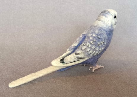 セキセイインコリアルタイプ＋ピーナッツ