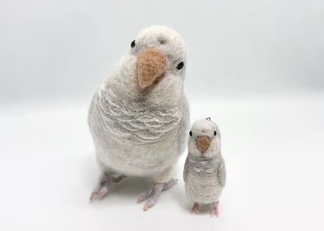 お客様専用 約1/2サイズ&ピーナッツオキナインコ