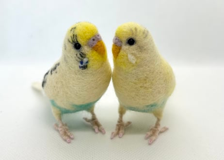 お客様専用約1/2サイズセキセイインコ×2