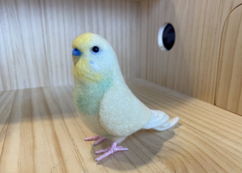 お客様専用約1／2サイズセキセイインコ | TinyBooBoo