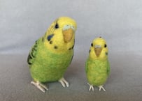 お客様専用約1/2サイズ＆ピーナッツセキセイインコ