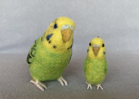 お客様専用約1/2サイズ＆ピーナッツセキセイインコ