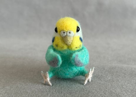 パーチ&おすわりセキセイインコ